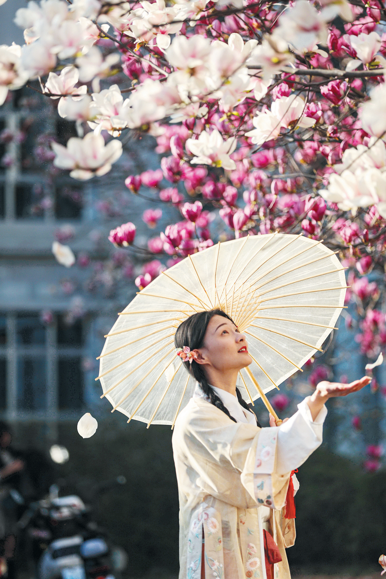 又到"花痴"满城跑