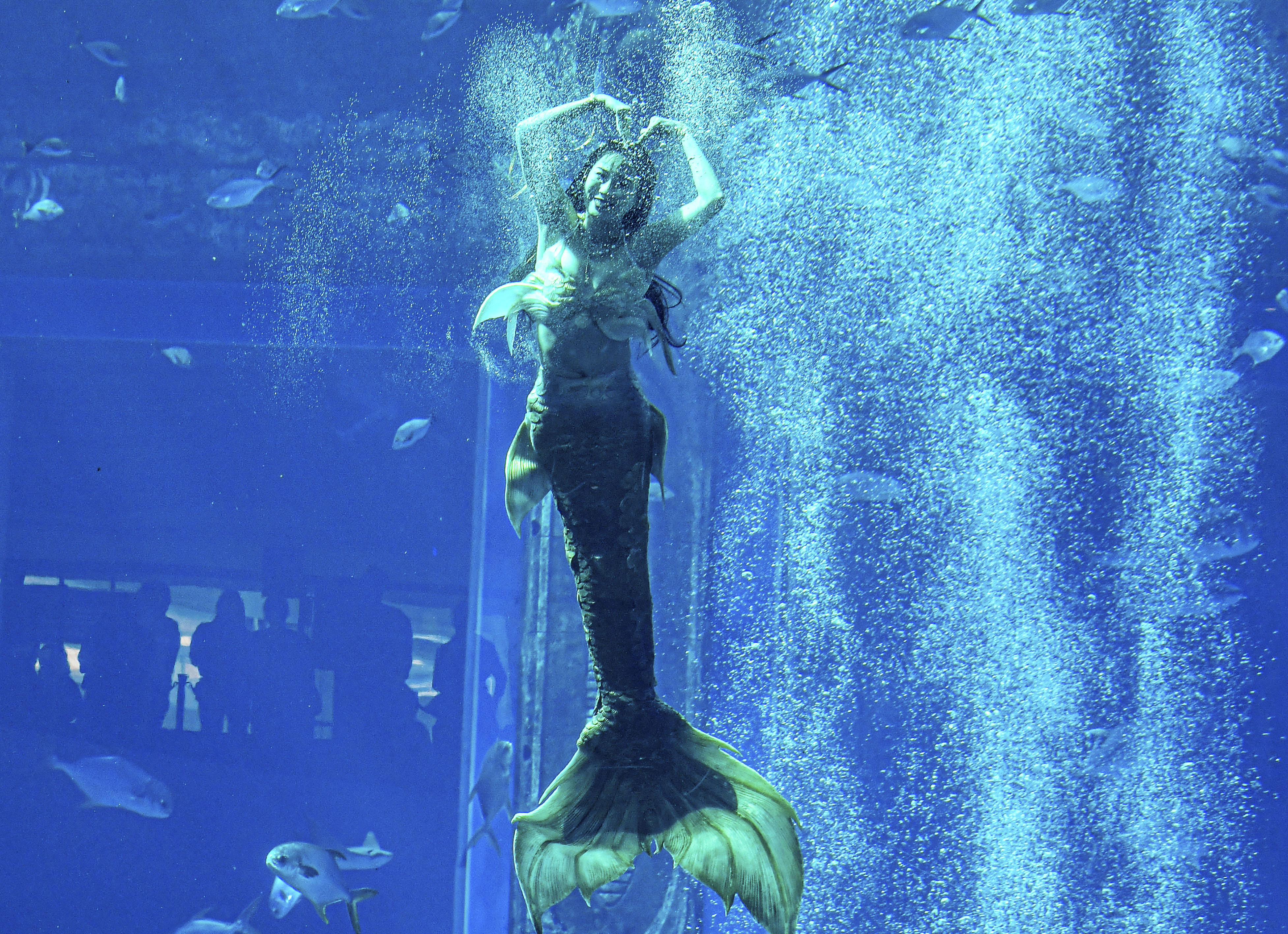 首届中国美人鱼表演赛举行决赛